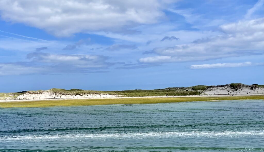 Plymouth, captian john's whale watching trips, south shore, south shore coastal towns