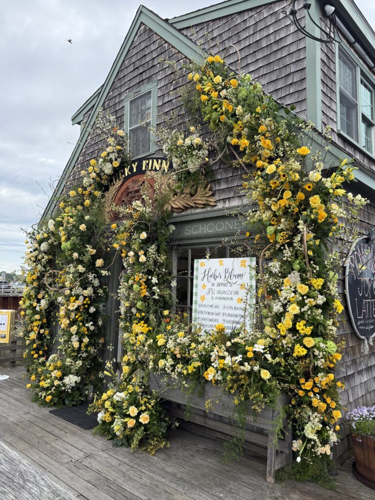 Lucky finn, scituate harbor, scituate, Local's Guide to Scituate MA