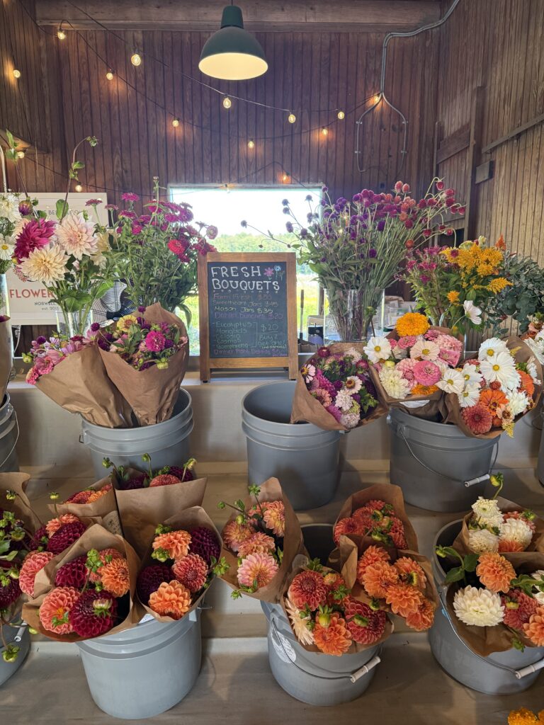 Norwell, South Shore, South Shore Inland Towns, Cross Street Flower Market